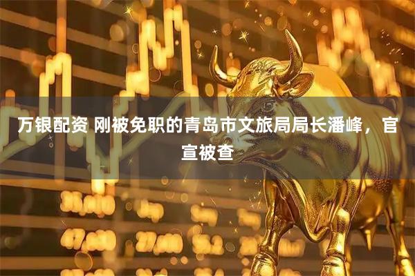 万银配资 刚被免职的青岛市文旅局局长潘峰，官宣被查