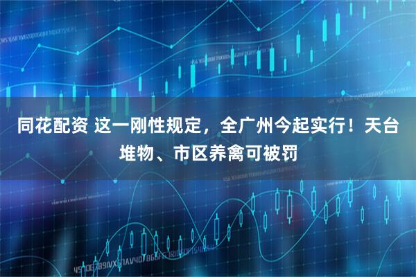 同花配资 这一刚性规定，全广州今起实行！天台堆物、市区养禽可被罚