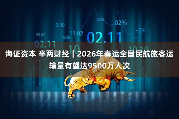 海证资本 半两财经｜2026年春运全国民航旅客运输量有望达9500万人次
