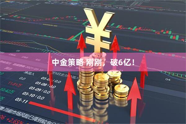 中金策略 刚刚，破6亿！