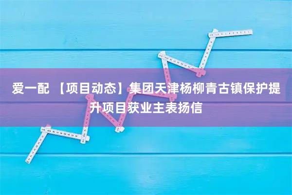 爱一配 【项目动态】集团天津杨柳青古镇保护提升项目获业主表扬信