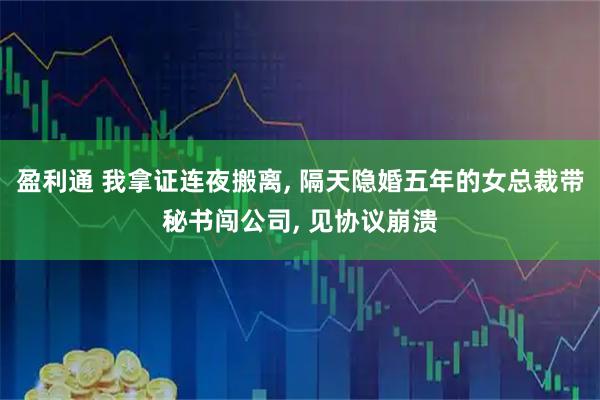 盈利通 我拿证连夜搬离, 隔天隐婚五年的女总裁带秘书闯公司, 见协议崩溃