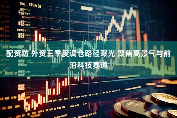 配资坊 外资三季度调仓路径曝光 聚焦高景气与前沿科技赛道