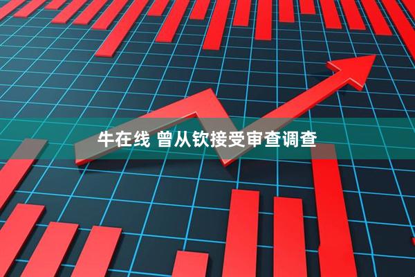 牛在线 曾从钦接受审查调查