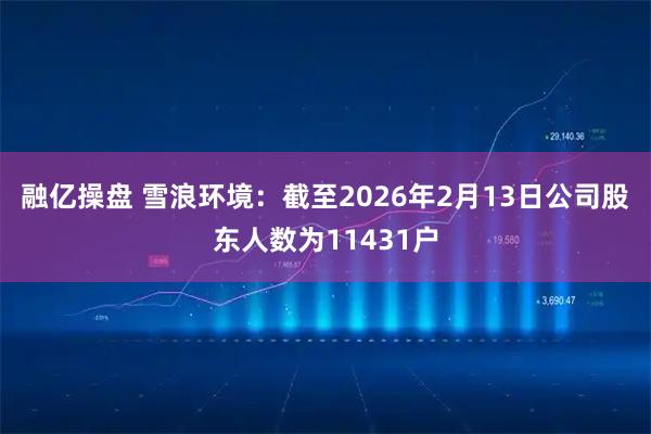 融亿操盘 雪浪环境：截至2026年2月13日公司股东人数为11431户